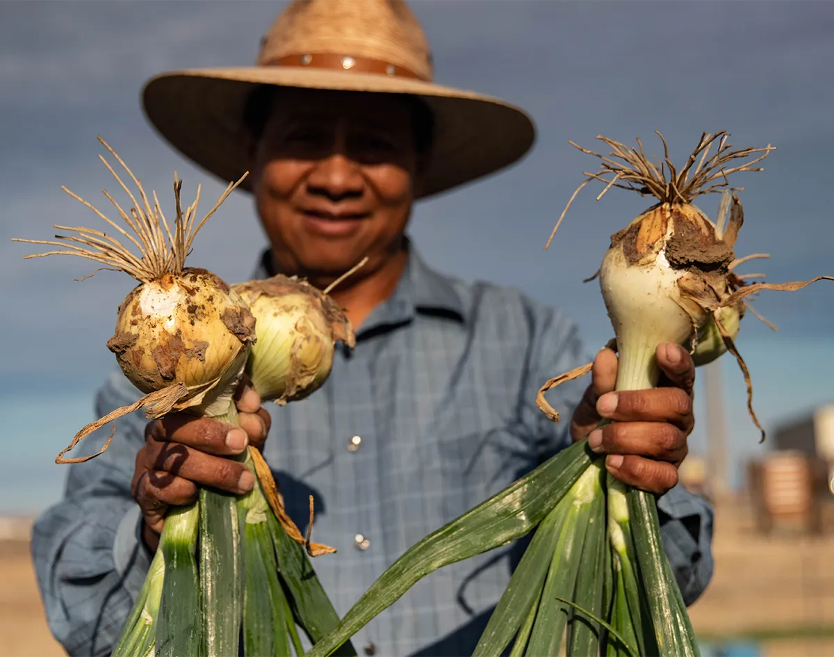 farmer holding sweet onions
